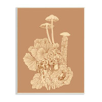 Stupell Industries Detailed Mushrooms Forest Flora Nature Plants Arrangement Wall Plaque Art By Ziwei Li