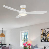 Wrought Studio Dyonne Ceiling Fan with LED Lights