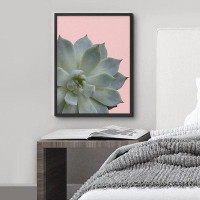 SIGNLEADER SIGNLEADER Framed Wall Art Print White Rose Succulent On Pink Background Nature Plants Photography Realism Mo