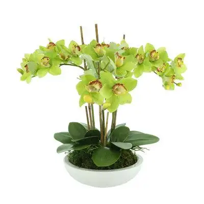 Primrue Orchids Arranged in Fiberstone Planter