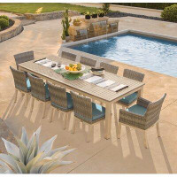 Sol 72 Outdoor™ Mckinnon Rectangular 10 - Person 103.25" Long Dining Set with Cushions