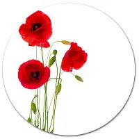 Design Art 'Isolated Red Poppy Flowers' Graphic Art Print on Metal