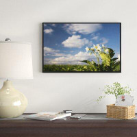 East Urban Home 'Potato Plant Flowers' Framed Photographic Print on Wrapped Canvas