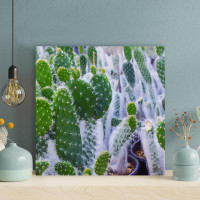 Foundry Select Green Cactus Plants During Daytime 7 - 1 Piece Square Graphic Art Print On Wrapped Canvas