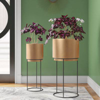 Etta Avenue™ Set Of 2 Gold And Black Finished Metal Planters