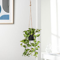 Primrue Ivy Hanging Plastic Pot Faux Plant in Pot with String Hanger