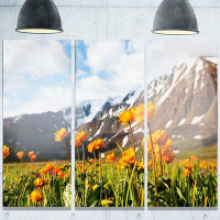 Design Art 'Mountain Meadow with Yellow Flowers' 3 Piece Photographic Print on Metal Set