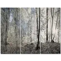 Design Art 'Dark Morning in Forest Panorama' Photographic Print Multi-Piece Image on Canvas