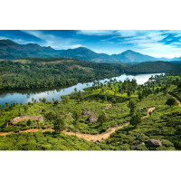Millwood Pines Hills , Lake And Tee Plantations In Kerala by Ventdusud