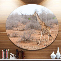 Design Art 'Giraffe Walking through African Forest' Photographic Print on Metal