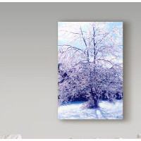 Winston Porter Ice on Persimmon Tree by Audrey - Wrapped Canvas Photograph Print