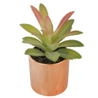 Northlight Seasonal 5" Green Artificial Aloe Plant In A Rose Gold Pot
