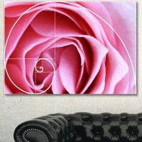Design Art 'Pink Flower with Spiral Arrangement' Graphic Art on Wrapped Canvas
