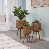 Bay Isle Home™ Set Of 3 Round Bamboo Planters