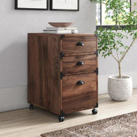 Laurel Foundry Modern Farmhouse Wycombe 3 Drawer Mobile Vertical Filing Cabinet