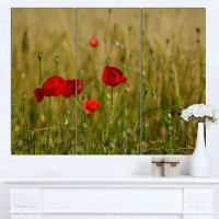 Made in Canada - Design Art 'Red Poppy Flower Field Background' 3 Piece Photographic Print on Wrapped Canvas Set