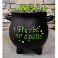 Trinx Trinx Wicca Occult Green Thumb Gardening Black Sacred Witchcraft Herbs For Spells With Star Dusts Cauldron Planter