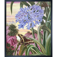 August Grove La Pastiche Blue Lily And Large Butterfly With Studio Black Wood Frame, 21.5" X 25.5"