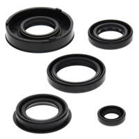 Engine Oil Seal Kit Can-Am DS 50 50cc 2002 2003 2004 2005