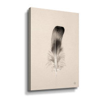 Dakota Fields Floating Feathers IV Sepia Gallery Wrapped Canvas