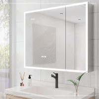 Hokku Designs Bathroom Medicine Cabinet With Lights