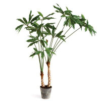 Primrue Criss 75" Artificial Scindapsus Aureus Plant in Pot