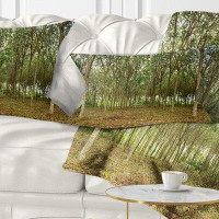 East Urban Home Rubber Tree Plantation During Midday Landscape Printed Lumbar Pillow