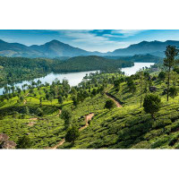 Millwood Pines Hills , Lake And Tee Plantations In Kerala | 2947340