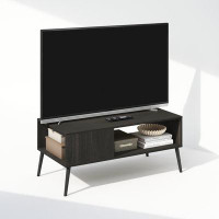 Wrought Studio Kayzleigh TV Stand for TVs up to 50"