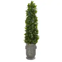 House of Hampton 27" Artificial Sweet Bay Topiary in Planter