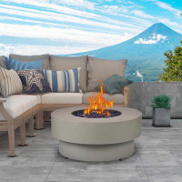 Wrought Studio Brodie-Leigh 14.5" H x 32.5" W Steel Propane Outdoor Fire Pit Table with Lid