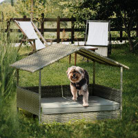 Tucker Murphy Pet™ Delsy Dog Sofa with Canopy