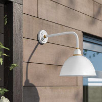 Trent Austin Design Windom Ridge 1 - Bulb Outdoor Barn Light