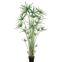 Bay Isle Home™ Cypress Grass Tree in Planter