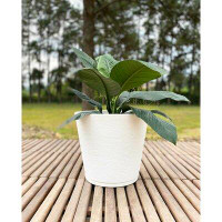 Floridis Genebra Resin Pot Planter