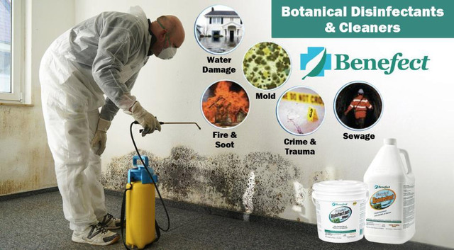 Botanical Disinfectant for Water Damage Restoration, Decontamination and Mold Remediation - Benefect Decon 30 in Other in Ontario - Image 4