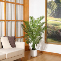 Primrue Adcock Artificial Palm Tree In Basket, Faux Palm Plant, Fake for Home Decor