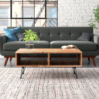 Union Rustic Jocques Coffee Table with Storage