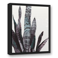 Union Rustic Snake Plant - Floater Frame Print on Canvas
