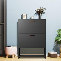 Latitude Run® Storage Shoe Cabinet with Two Flip Doors and Adjustable Bottom Shelf