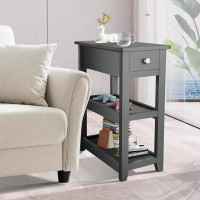 Red Barrel Studio Lakshman 24'' tall End Table with Storage