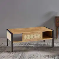 Bay Isle Home™ Modern Style Rattan Coffee Table with Sliding Doors and Metal Legs