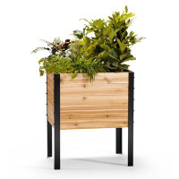 Foundry Select Niebel Wood Elevated Planter