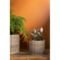 Birch Lane™ Morello Ceramic Pot Planter