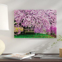 East Urban Home Tribute Bench Under a Cherry Blossom by Jay O'Brien - Photograph Print on Canvas