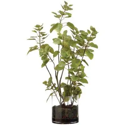Ophelia & Co. Cotinus Plant and Soil Floor Foliage in Glass Vase