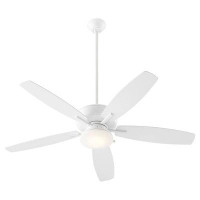 Wade Logan Braylie 5 - Blade Outdoor LED Standart Ceiling Fan with Pull Chain and Light Kit Included