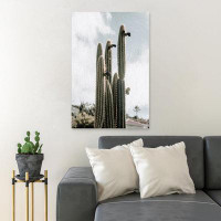 Foundry Select Tall Cactus Plants - 1 Piece Rectangle Graphic Art Print On Wrapped Canvas