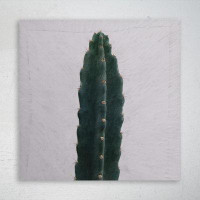 Foundry Select Green Cactus Plant Beside White Wall - 1 Piece Square Graphic Art Print On Wrapped Canvas