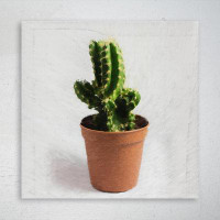 Foundry Select Potted Green Cacti Plant - 1 Piece Square Graphic Art Print On Wrapped Canvas
